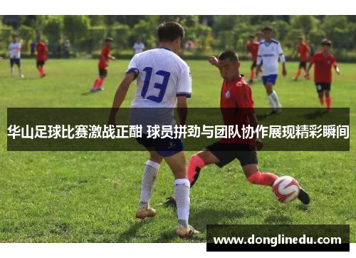 华山足球比赛激战正酣 球员拼劲与团队协作展现精彩瞬间