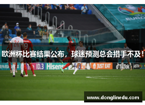 欧洲杯比赛结果公布，球迷预测总会措手不及！