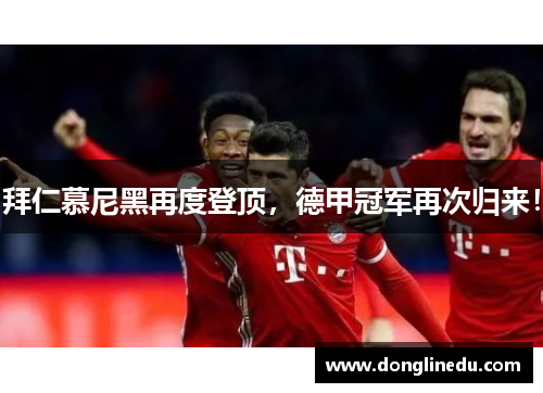 拜仁慕尼黑再度登顶，德甲冠军再次归来！
